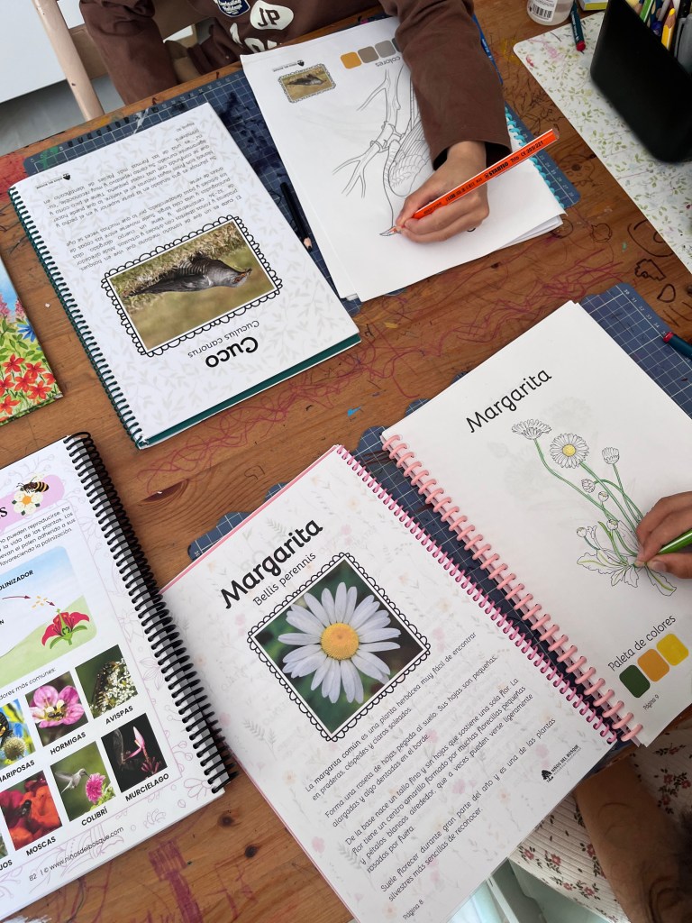 libro de colorear para niños de aves y flores