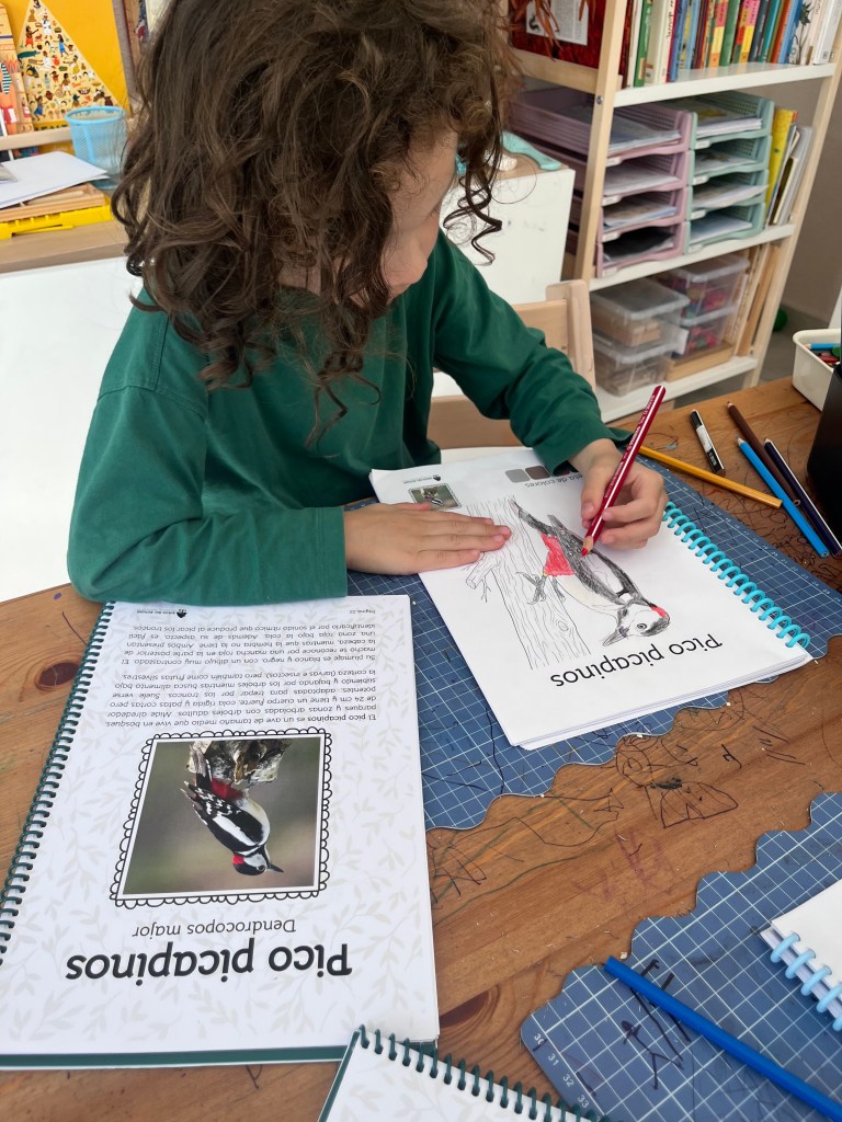 libro de colorear para niños de aves