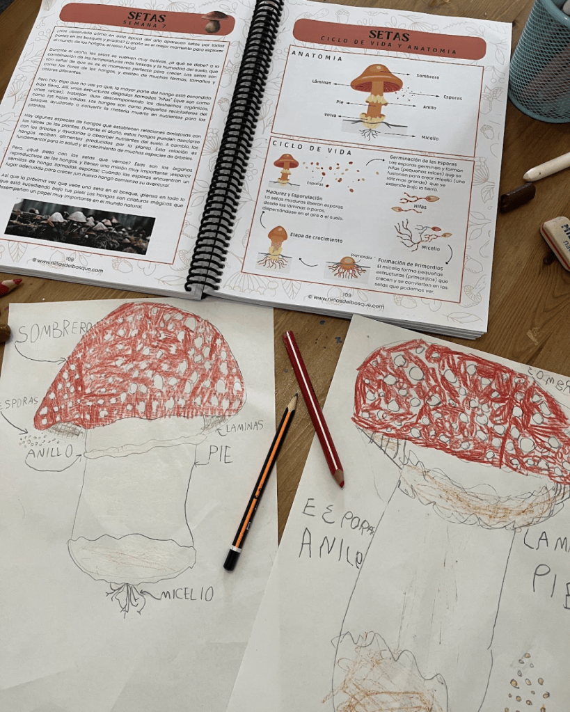 guia de ciencias naturales para niños otoño unidad de estudio